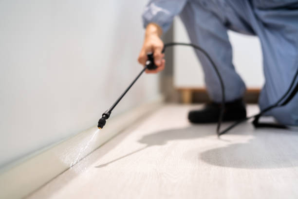 Bed Bug Pre-Treatment Preparation Assessment in Earle