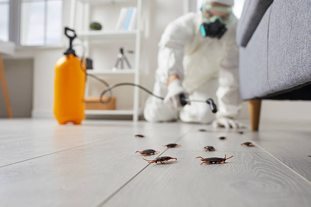 Post-Treatment Bed Bug Interceptor Monitoring in Earle