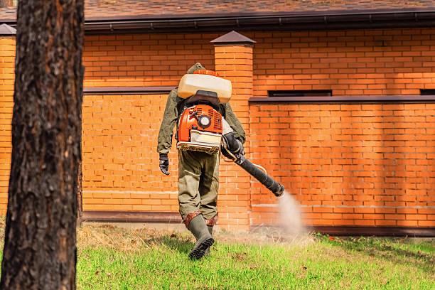 Bed Bug Clearance Verification and Documentation in Earle